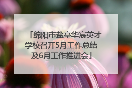 绵阳市盐亭华宸英才学校召开5月工作总结及6月工作推进会