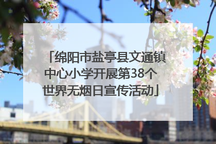 绵阳市盐亭县文通镇中心小学开展第38个世界无烟日宣传活动