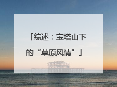 综述：宝塔山下的“草原风情”
