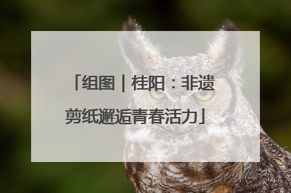 组图｜桂阳：非遗剪纸邂逅青春活力