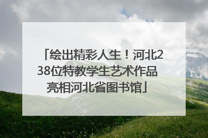 绘出精彩人生！河北238位特教学生艺术作品亮相河北省图书馆