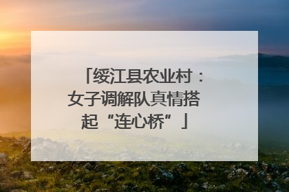 绥江县农业村：女子调解队真情搭起“连心桥”