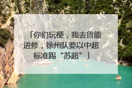 你们玩梗，我去鲁能进修，徐州队要以中超标准踢“苏超”
