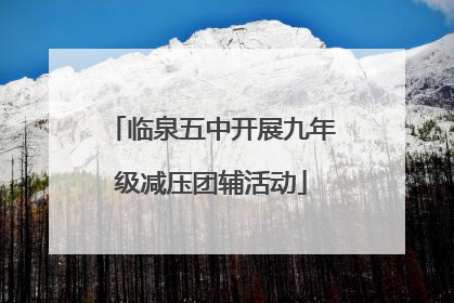 临泉五中开展九年级减压团辅活动