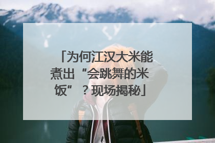 为何江汉大米能煮出“会跳舞的米饭”？现场揭秘