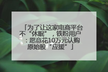 为了让这家电商平台不“休眠”，铁粉用户：愿意花10万元认购原始股“应援”