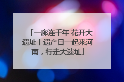一廊连千年 花开大遗址丨遗产日一起来河南，行走大遗址