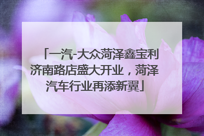 一汽-大众菏泽鑫宝利济南路店盛大开业，菏泽汽车行业再添新翼