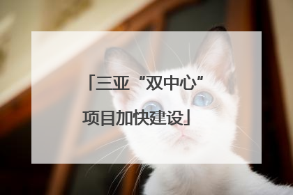 三亚“双中心”项目加快建设