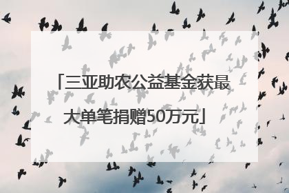 三亚助农公益基金获最大单笔捐赠50万元