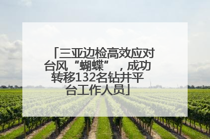 三亚边检高效应对台风“蝴蝶”，成功转移132名钻井平台工作人员