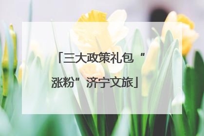 三大政策礼包“涨粉”济宁文旅