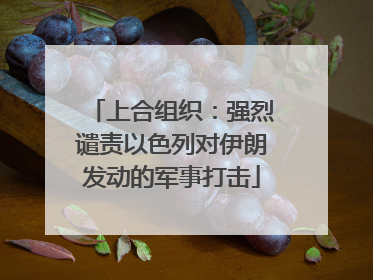 上合组织：强烈谴责以色列对伊朗发动的军事打击