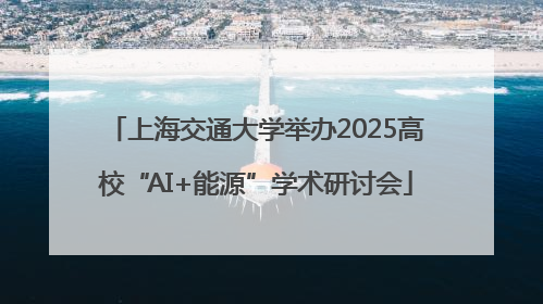 上海交通大学举办2025高校“AI+能源”学术研讨会