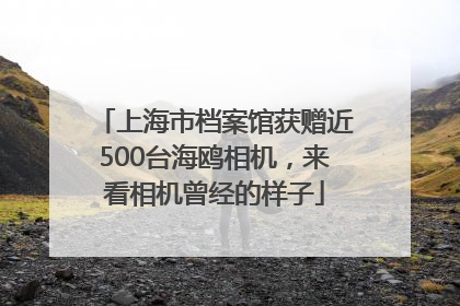 上海市档案馆获赠近500台海鸥相机，来看相机曾经的样子