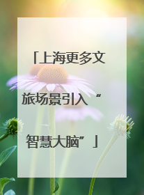 上海更多文旅场景引入“智慧大脑”