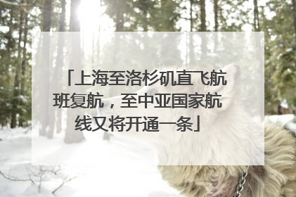 上海至洛杉矶直飞航班复航，至中亚国家航线又将开通一条