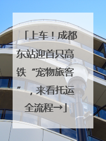 上车！成都东站迎首只高铁“宠物旅客”，来看托运全流程→