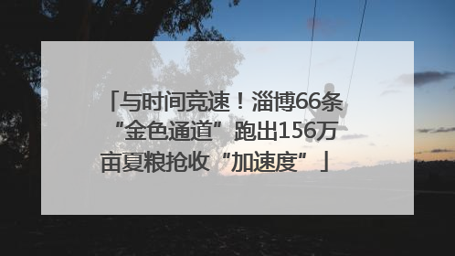与时间竞速！淄博66条“金色通道”跑出156万亩夏粮抢收“加速度”
