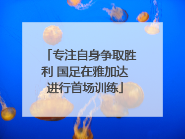 专注自身争取胜利 国足在雅加达进行首场训练