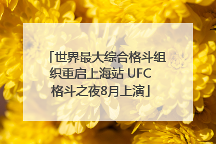 世界最大综合格斗组织重启上海站 UFC格斗之夜8月上演