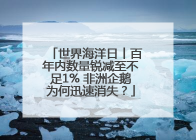世界海洋日丨百年内数量锐减至不足1% 非洲企鹅为何迅速消失？