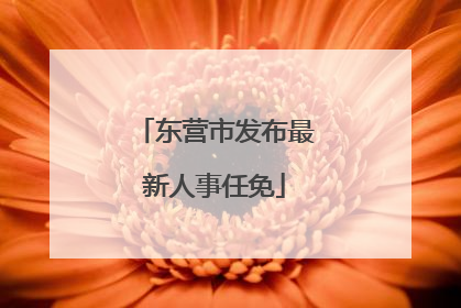 东营市发布最新人事任免