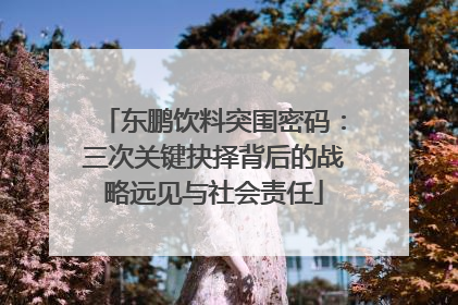东鹏饮料突围密码：三次关键抉择背后的战略远见与社会责任