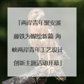 两岸青年聚安溪 藤铁为媒绘新篇 海峡两岸青年工艺设计创新主题活动开幕
