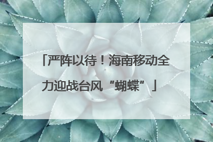 严阵以待！海南移动全力迎战台风“蝴蝶”
