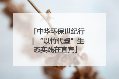 中华环保世纪行｜“以竹代塑”生态实践在宜宾