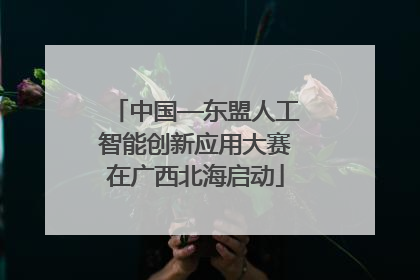 中国—东盟人工智能创新应用大赛在广西北海启动