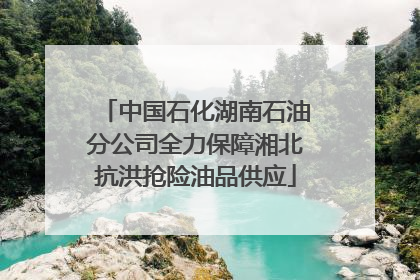 中国石化湖南石油分公司全力保障湘北抗洪抢险油品供应