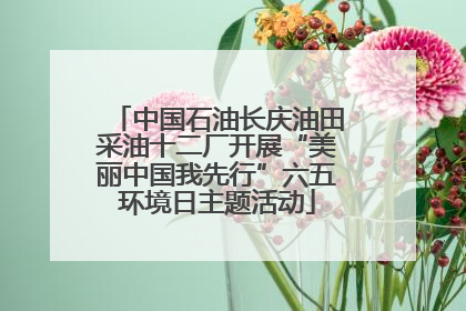中国石油长庆油田采油十二厂开展“美丽中国我先行”六五环境日主题活动