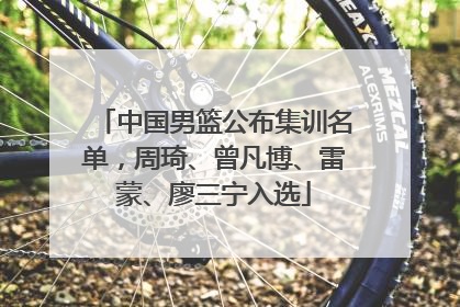 中国男篮公布集训名单，周琦、曾凡博、雷蒙、廖三宁入选
