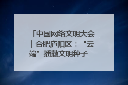 中国网络文明大会｜合肥庐阳区：“云端”播撒文明种子 共建清朗网络空间