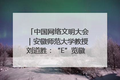 中国网络文明大会｜安徽师范大学教授刘道胜：“E”览徽风，构筑中华民族共有精神家园