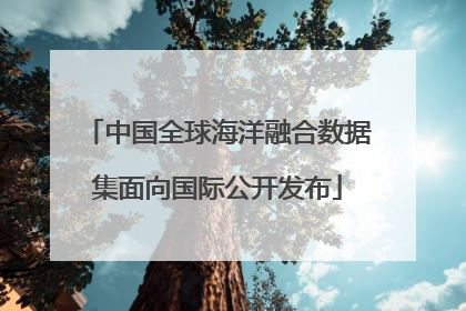 中国全球海洋融合数据集面向国际公开发布