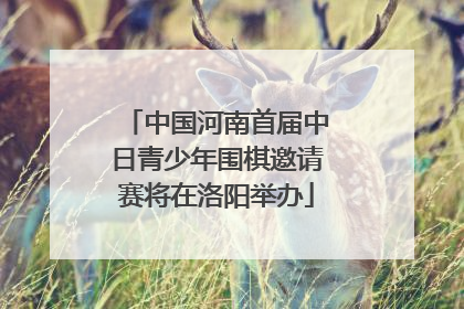 中国河南首届中日青少年围棋邀请赛将在洛阳举办