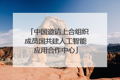 中国邀请上合组织成员国共建人工智能应用合作中心
