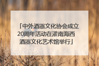 中外酒器文化协会成立20周年活动在灌南海西酒器文化艺术馆举行