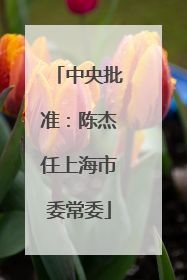 中央批准：陈杰任上海市委常委