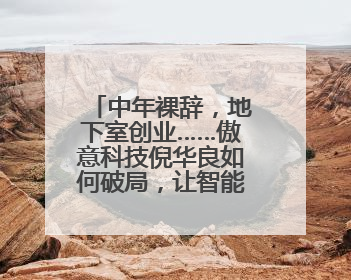中年裸辞，地下室创业……傲意科技倪华良如何破局，让智能仿生手走进千家万户？