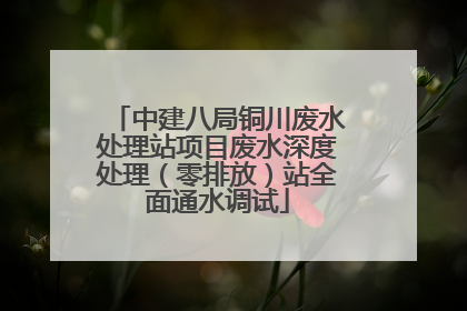 中建八局铜川废水处理站项目废水深度处理（零排放）站全面通水调试