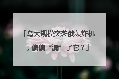 乌大规模突袭俄轰炸机，偏偏“漏”了它？