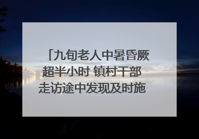 九旬老人中暑昏厥超半小时 镇村干部走访途中发现及时施救｜看见正能量