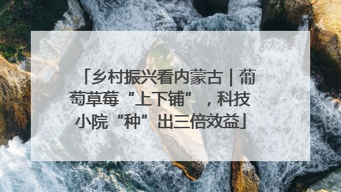 乡村振兴看内蒙古｜葡萄草莓“上下铺”，科技小院“种”出三倍效益