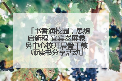 书香润校园，思想启新程 宜宾翠屏象鼻中心校开展骨干教师读书分享活动