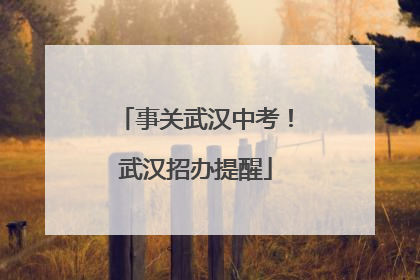 事关武汉中考！武汉招办提醒