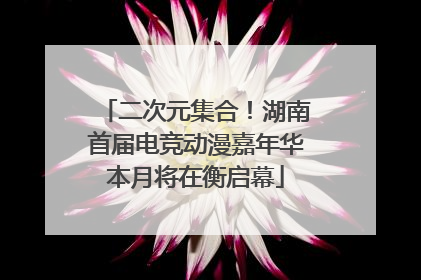 二次元集合！湖南首届电竞动漫嘉年华本月将在衡启幕